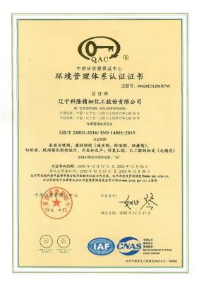 Environmental Management System Certification Certificate